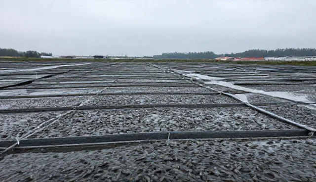 水产养殖中细节操作对选型决策的影响